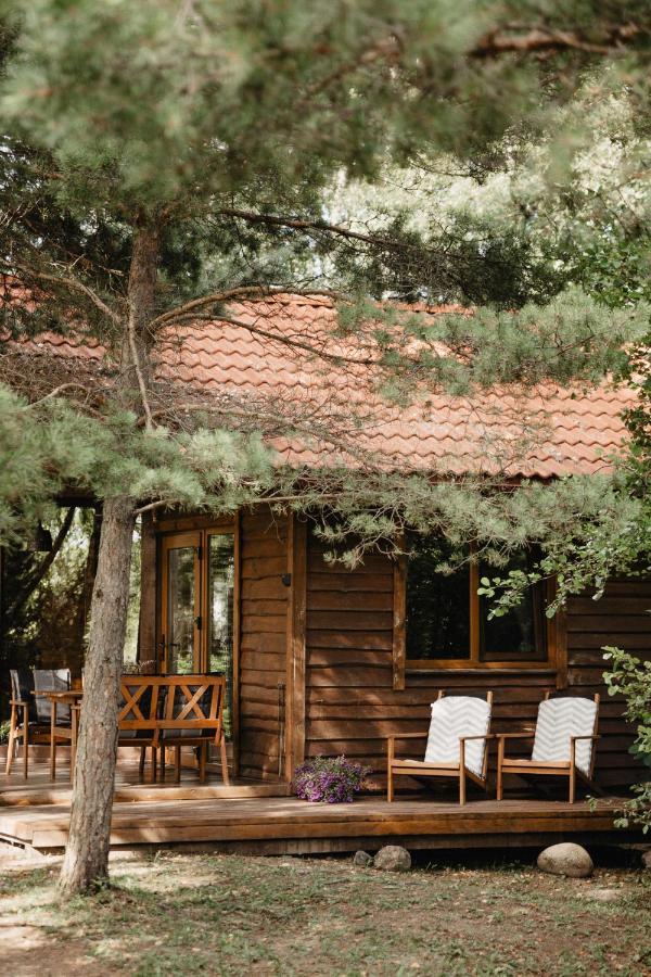 Berzu Namelis - Birch Cabin Kutsyuny Esterno foto