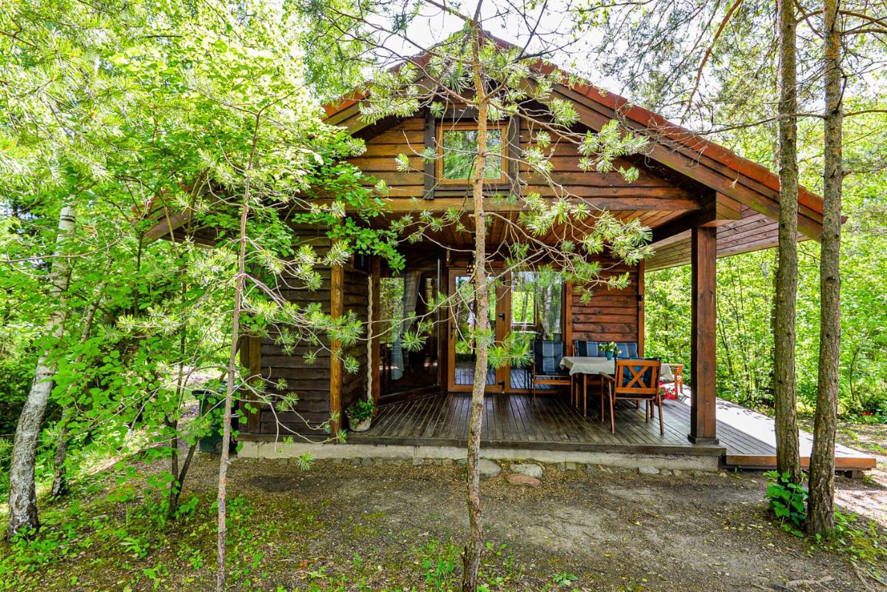 Berzu Namelis - Birch Cabin Kutsyuny Esterno foto