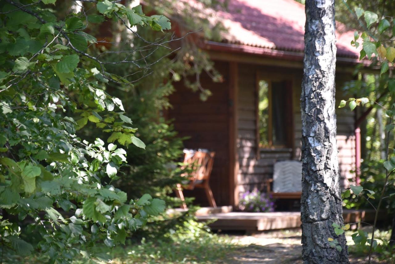 Berzu Namelis - Birch Cabin Kutsyuny Esterno foto