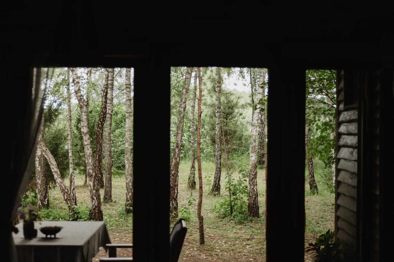 Berzu Namelis - Birch Cabin Kutsyuny Esterno foto