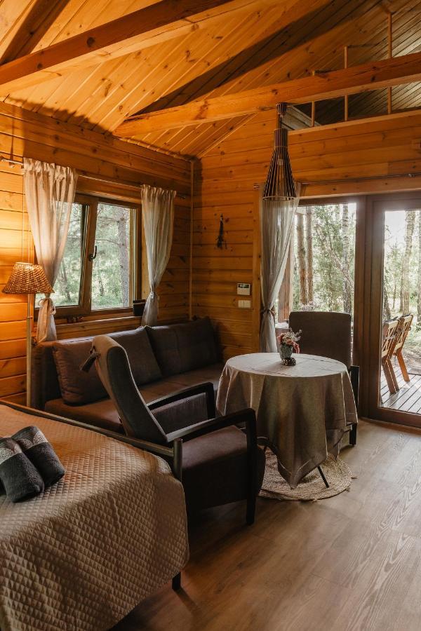 Berzu Namelis - Birch Cabin Kutsyuny Esterno foto